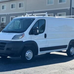 2016RamProMaster Cargo Van1500 Low Roof w/136" WB Van 3D